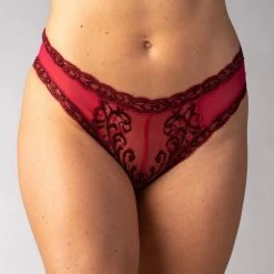 Natori Feathers Low Rise Hipster Bikini 753023