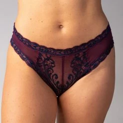 Natori Feathers Low Rise Hipster Bikini 753023