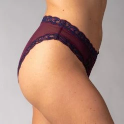 Natori Feathers Low Rise Hipster Bikini 753023